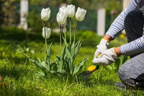 Front garden maintenance by professional gardeners in Ilford