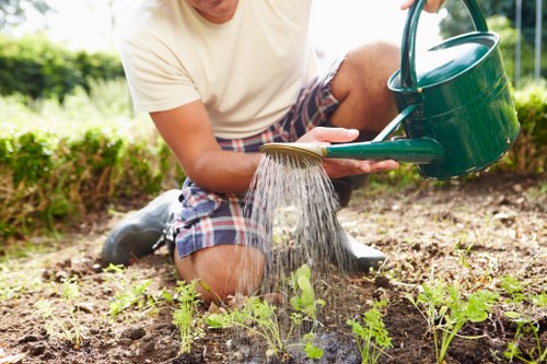 Gardeners Ilford team assessing a front garden before quoting