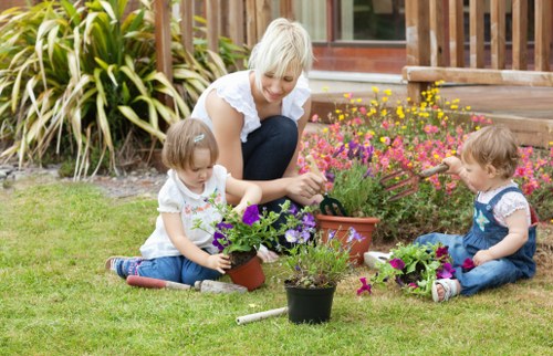 Emergency tree removal service in Ilford