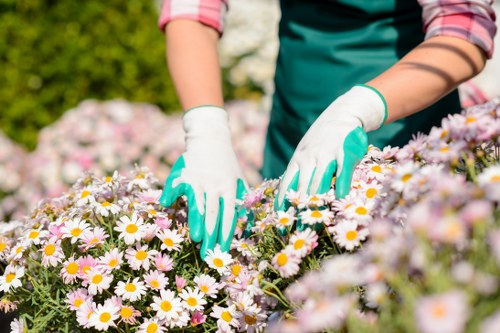 Segregated garden waste bins and transfer staging