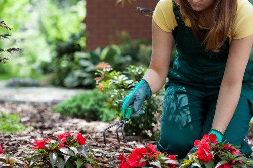 Gardeners Ilford team setting up a safe work area in a garden