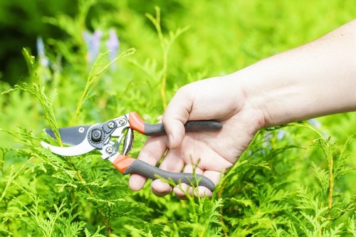 Supervisor conducting a site risk assessment in a garden