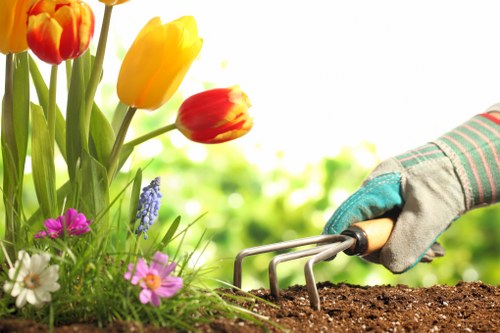 Commercial gardening services in Ilford